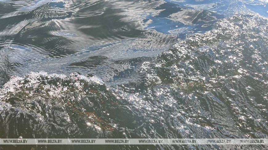 В Кобринском районе в реке утонул мужчина