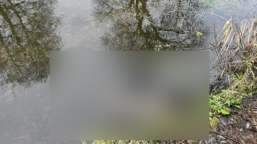 В Чашникском районе в реке утонул мужчина