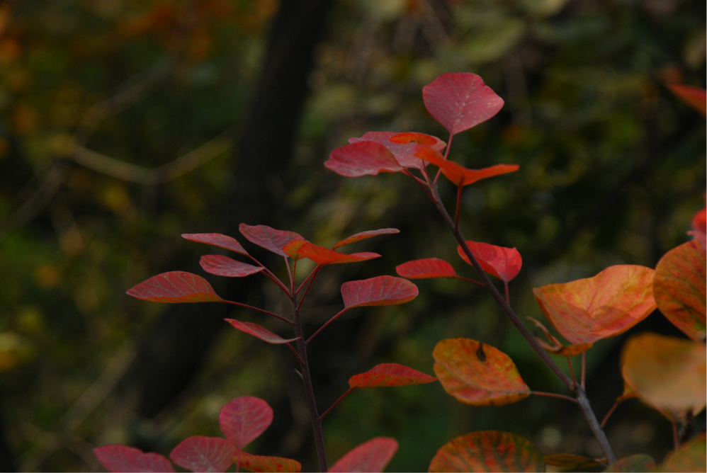 Народные приметы на 13 ноября 2025 года: что нельзя делать в Никодимов день