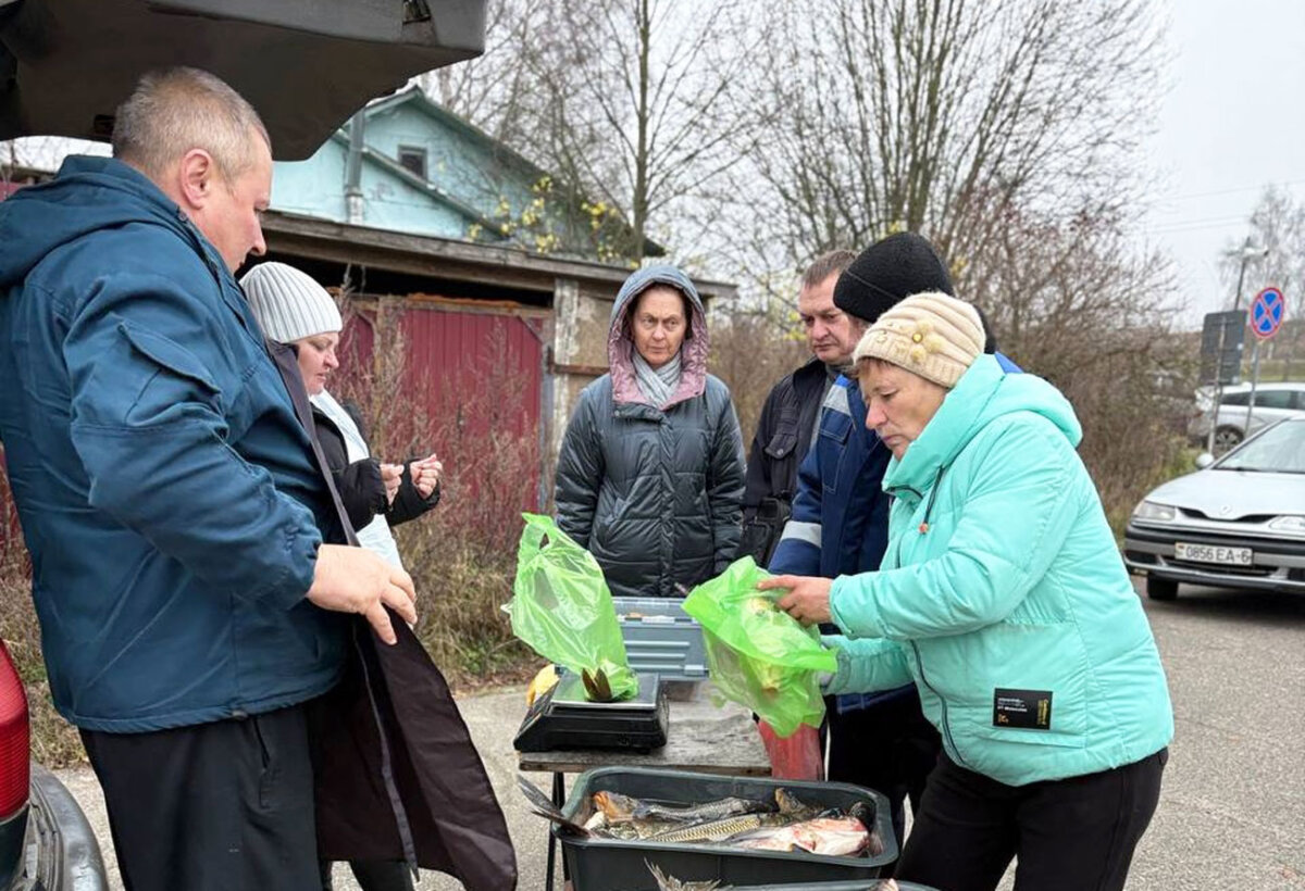В Круглом продолжается сезон сельскохозяйственных ярмарок