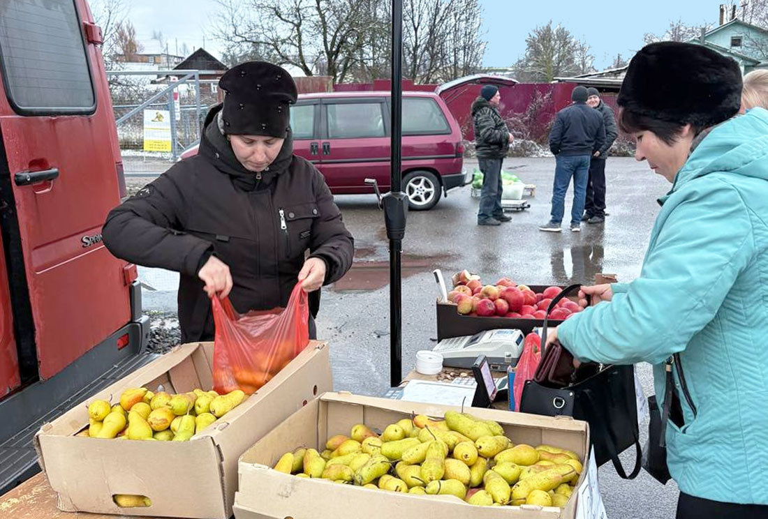 «Витаминный» запас щедрой осени