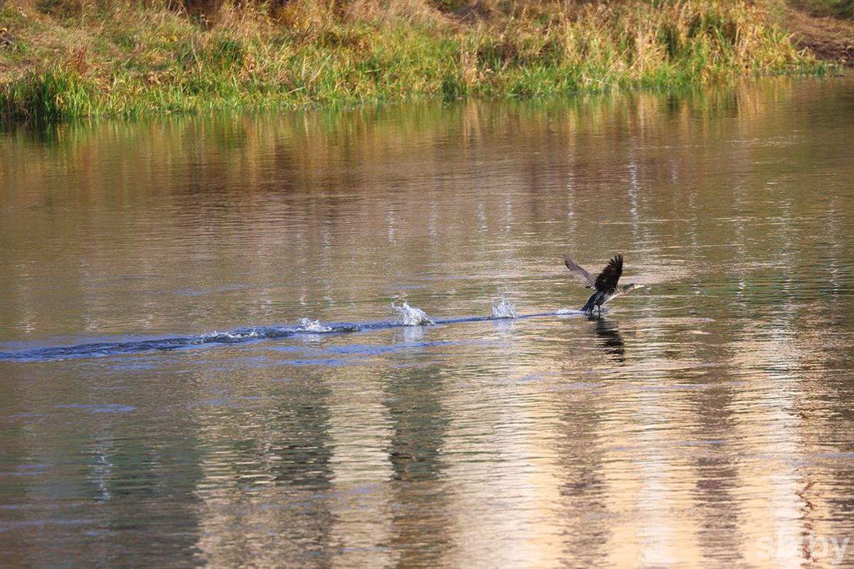 Погода 18 ноября: оранжевый уровень опасности из-за сильных осадков и от -3 °С до +7 °С