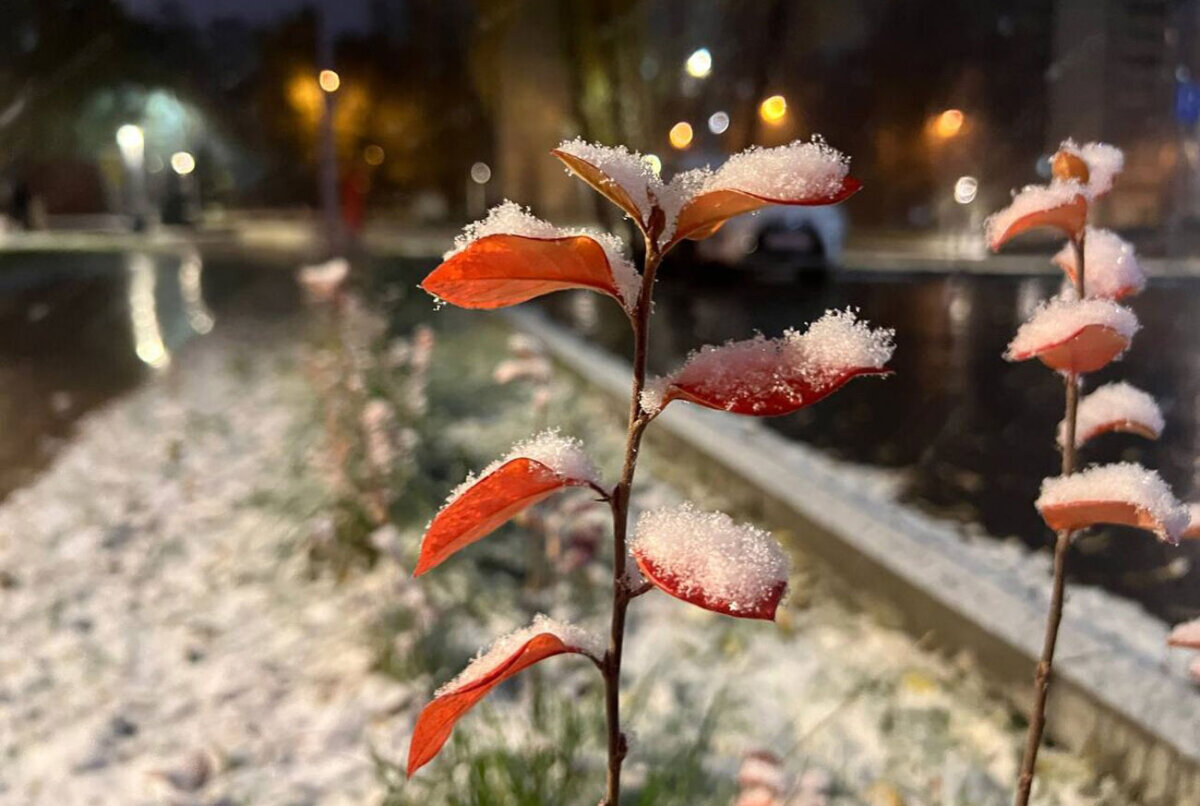 В Беларуси сегодня ожидается мокрый снег, дождь