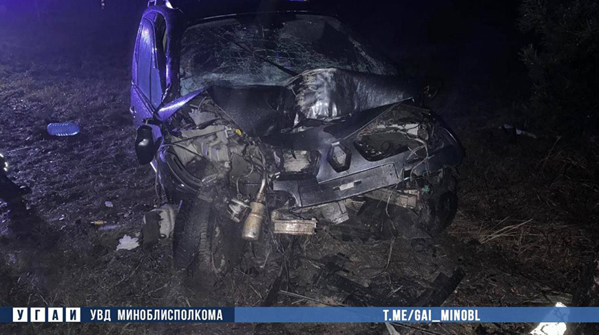 В Слуцком районе авто вылетело в кювет и врезалось в дерево, пассажирка скончалась в больнице