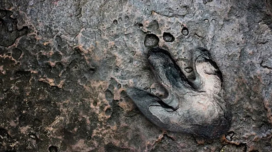 В итальянских Альпах нашли следы динозавров, которым более 200 млн лет