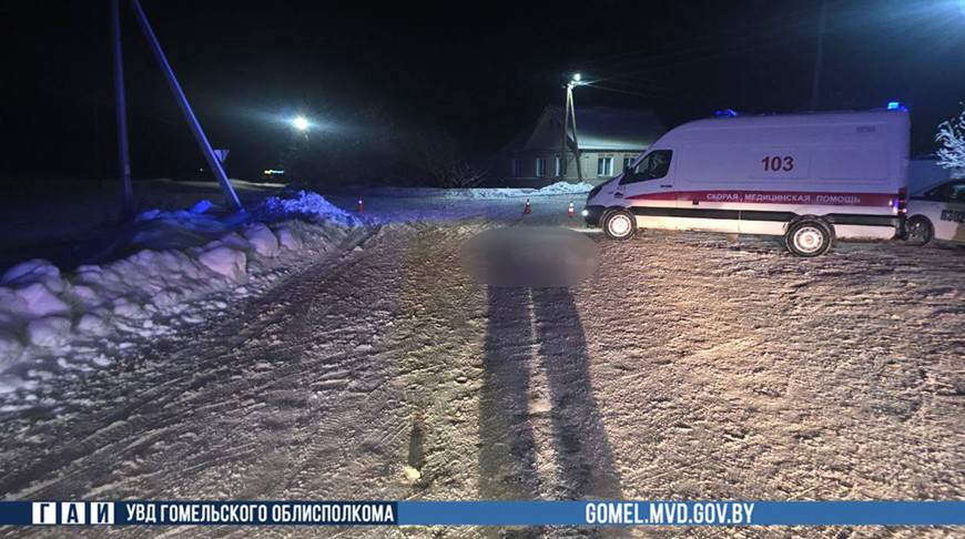 Водитель в Гомельском районе насмерть сбил пешехода и скрылся