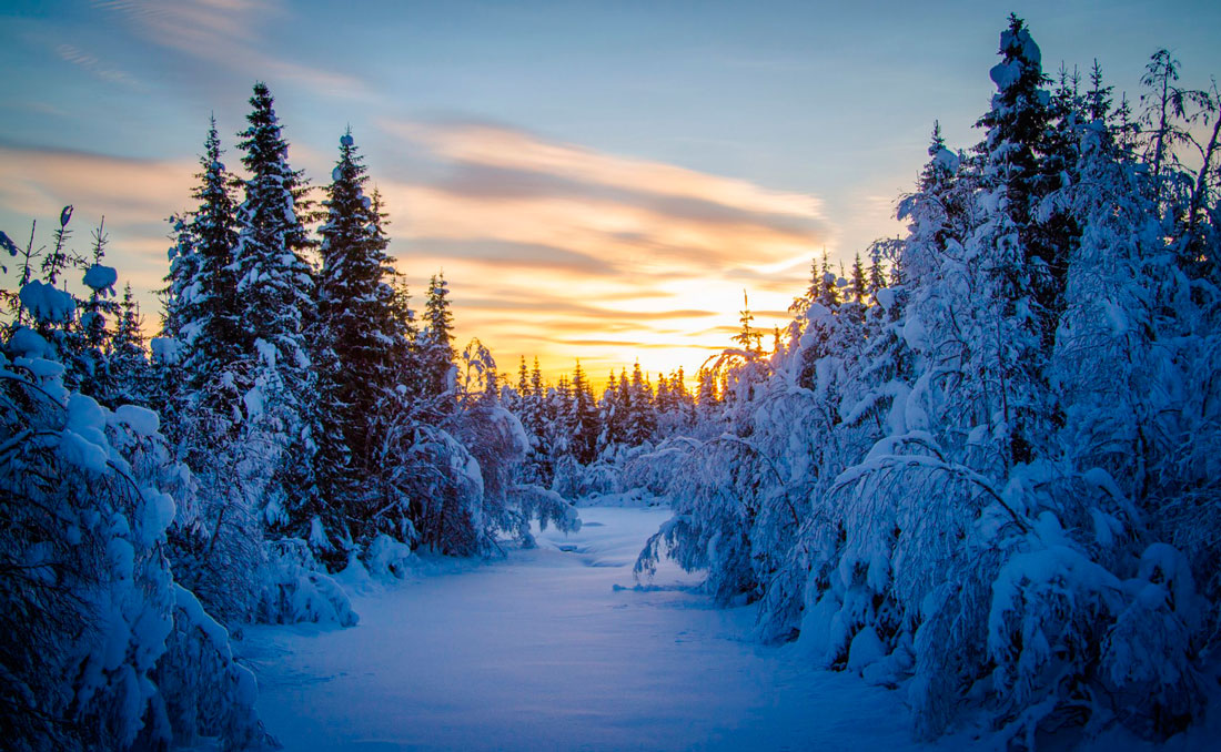 До -14°С и без осадков. Какой будет погода в Беларуси 19 января