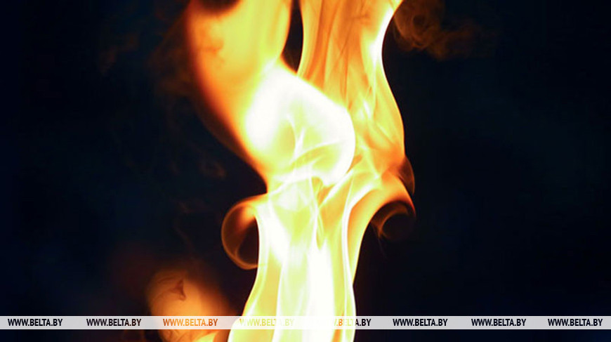 В Рогачевском районе пенсионерка и ее невестка погибли при пожаре в доме