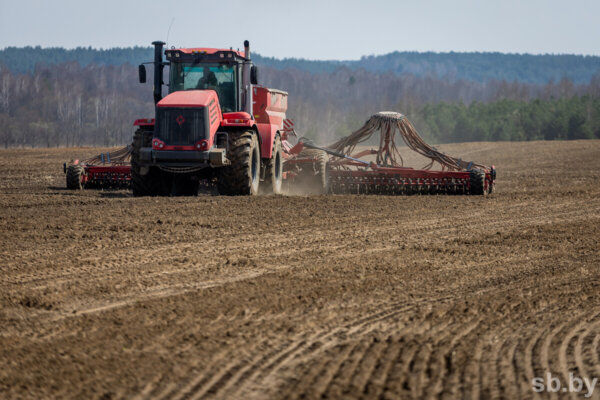 В Беларуси яровые культуры посеяны на площади более 1 миллиона гектаров