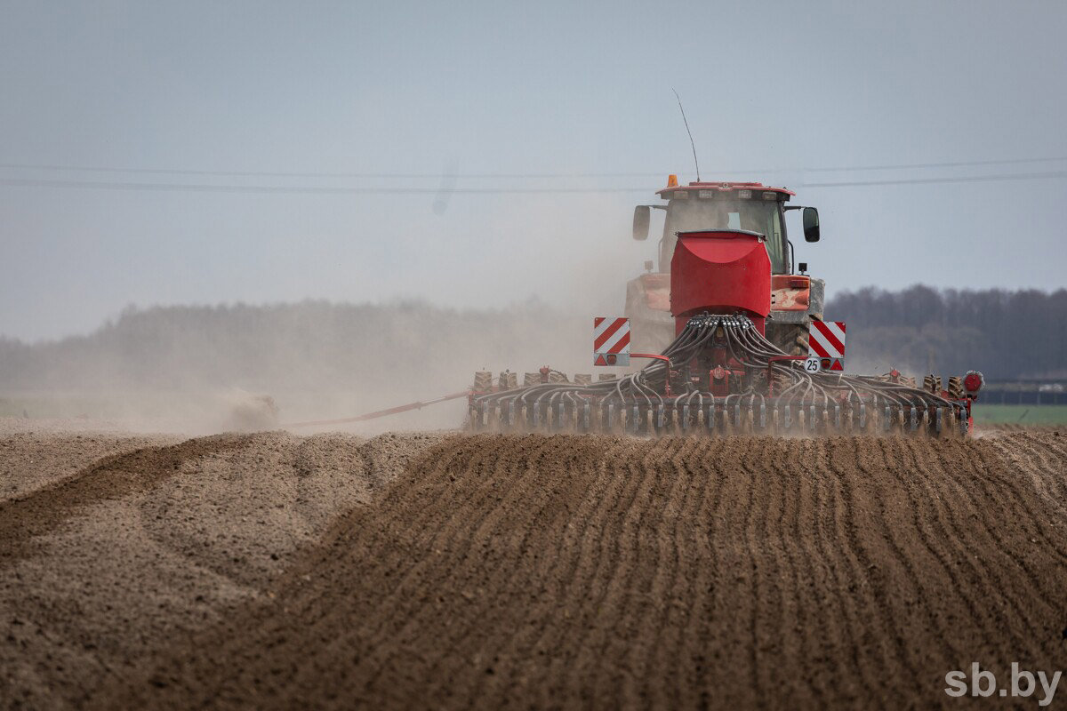 Аграрии Беларуси засеяли яровыми культурами 915 тыс. га — 40 % от плана