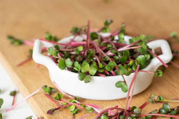 Врач рассказала, кому стоит с осторожностью употреблять микрозелень