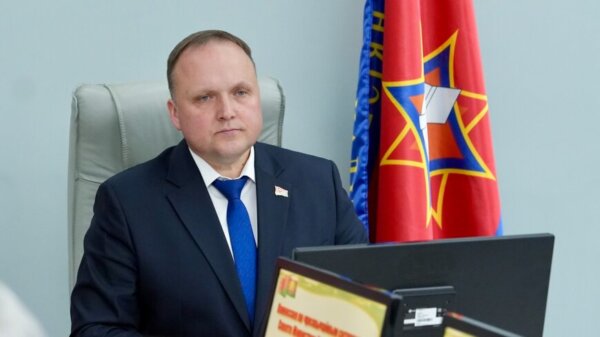 МЧС: более 2,3 тыс. природных пожаров было зафиксировано с начала года