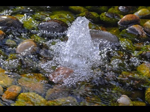 Народные приметы на 22 апреля 2026 года: что нельзя делать в день Вадима Ключника