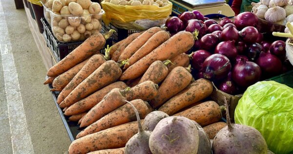 Минсельхозпрод установил предельные максимальные цены на овощи и яблоки для госнужд