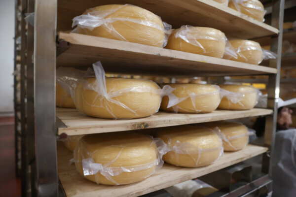Минсельхозпрод изменил экспортные цены на некоторые молочные продукты
