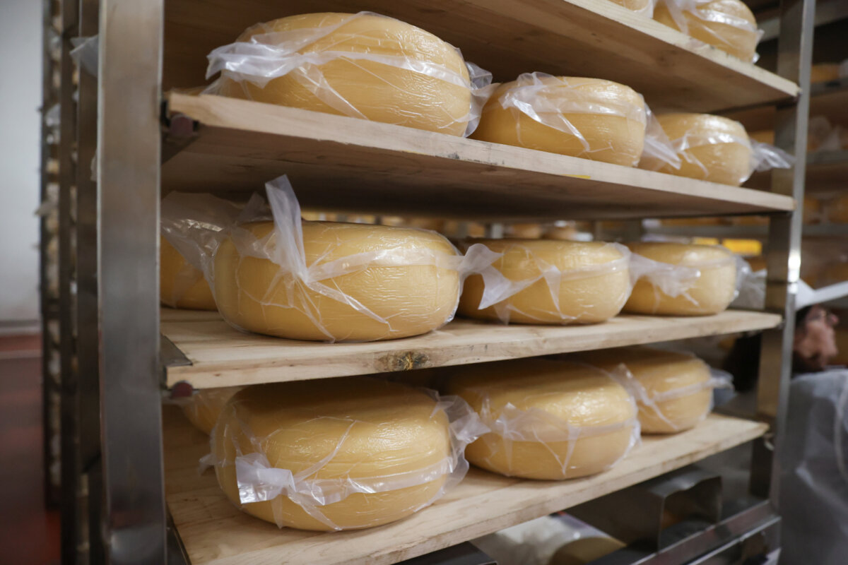 Минсельхозпрод изменил экспортные цены на некоторые молочные продукты