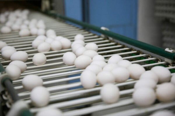 Производство сельхозпродукции в Беларуси в январе-апреле увеличилось на 2,9%