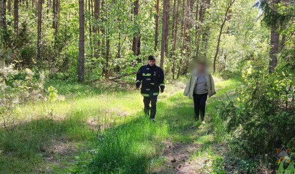 В Житковичском районе спасатели нашли пенсионерку, которая заблудилась в лесу