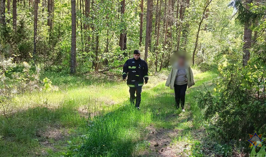 В Житковичском районе спасатели нашли пенсионерку, которая заблудилась в лесу