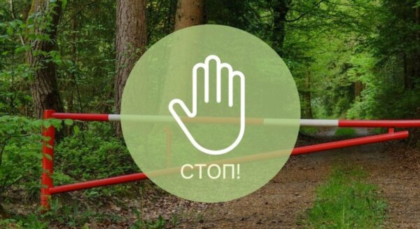 РОЧС информирует: Введены ограничения на посещение лесов