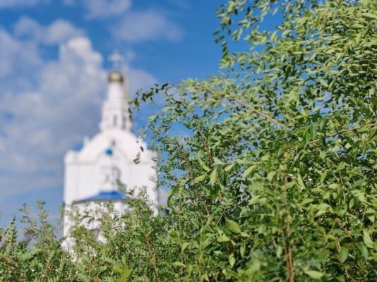 Народные приметы на 3 июня 2026 года: что нельзя делать в Оленин день
