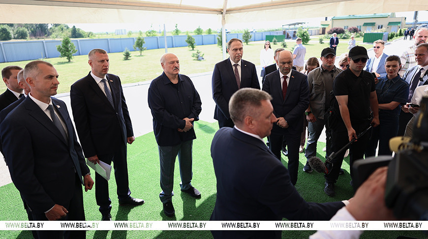 «Топчетесь на месте!» Лукашенко раскритиковал недостаточную динамику по снижению падежа КРС 
