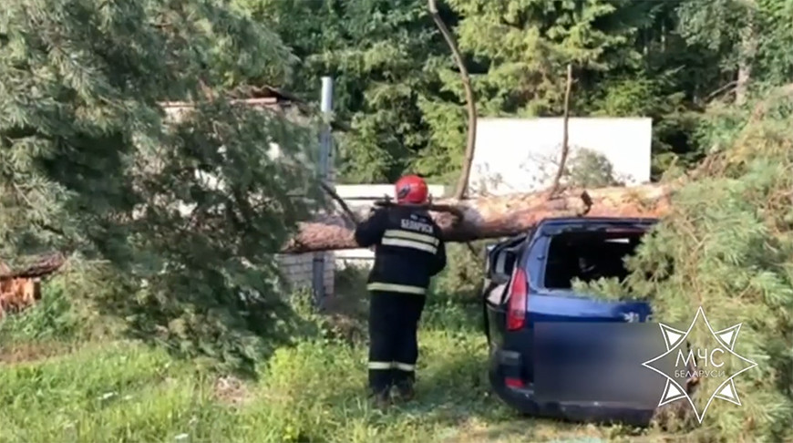 Упавшие из-за сильного ветра деревья повредили 14 машин по всей стране — МЧС
