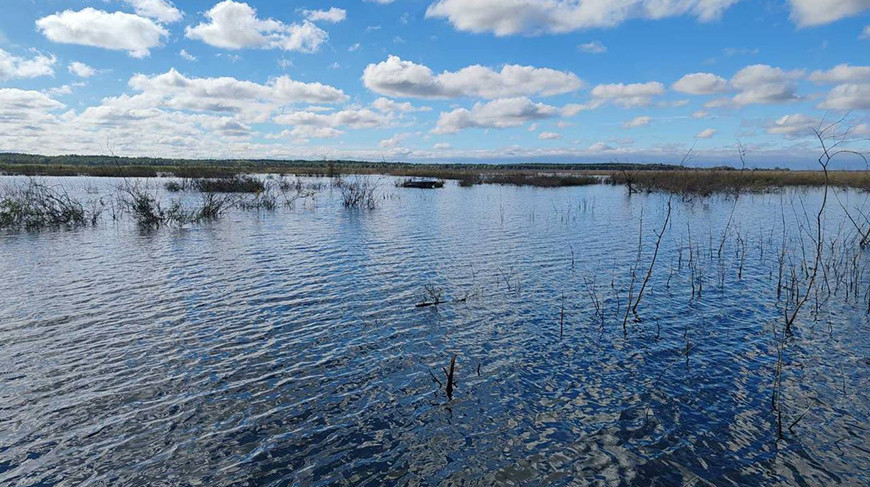 Рыбак выпал из лодки и утонул на Днепро-Брагинском водохранилище