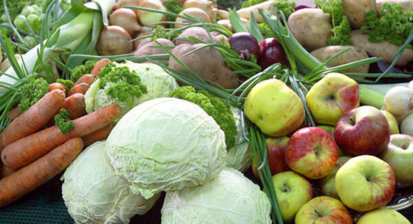 МАРТ установил предельные розничные цены на плодоовощную продукцию по госзаказу
