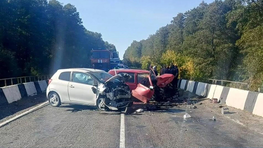 Лобовое столкновение авто в Рогачевском районе: в больницу доставили четырех человек, включая двух детей